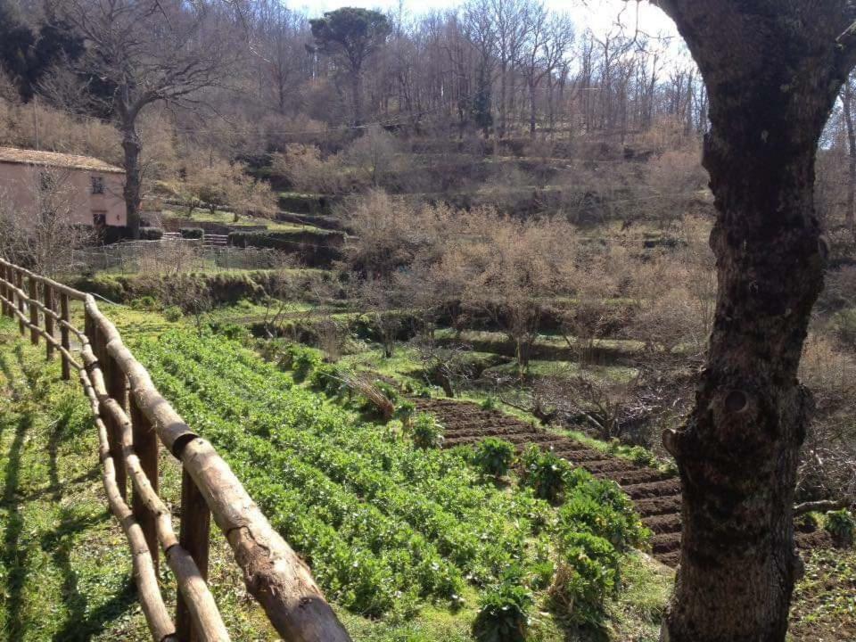 Вилла Valle Maira, Agriturismo Nel Parco Dei Nebrodi Tortorici Экстерьер фото