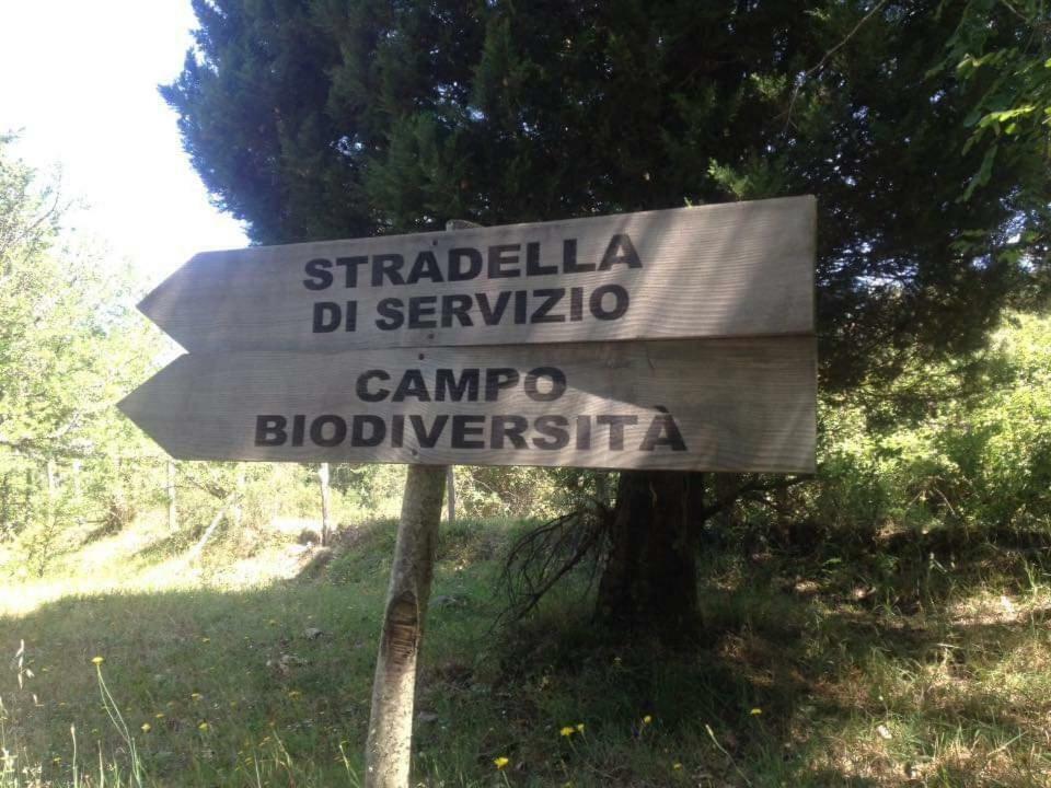 Вилла Valle Maira, Agriturismo Nel Parco Dei Nebrodi Tortorici Экстерьер фото
