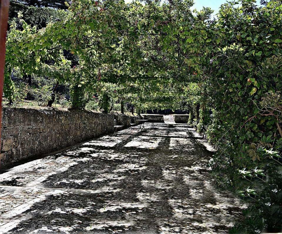 Вилла Valle Maira, Agriturismo Nel Parco Dei Nebrodi Tortorici Экстерьер фото